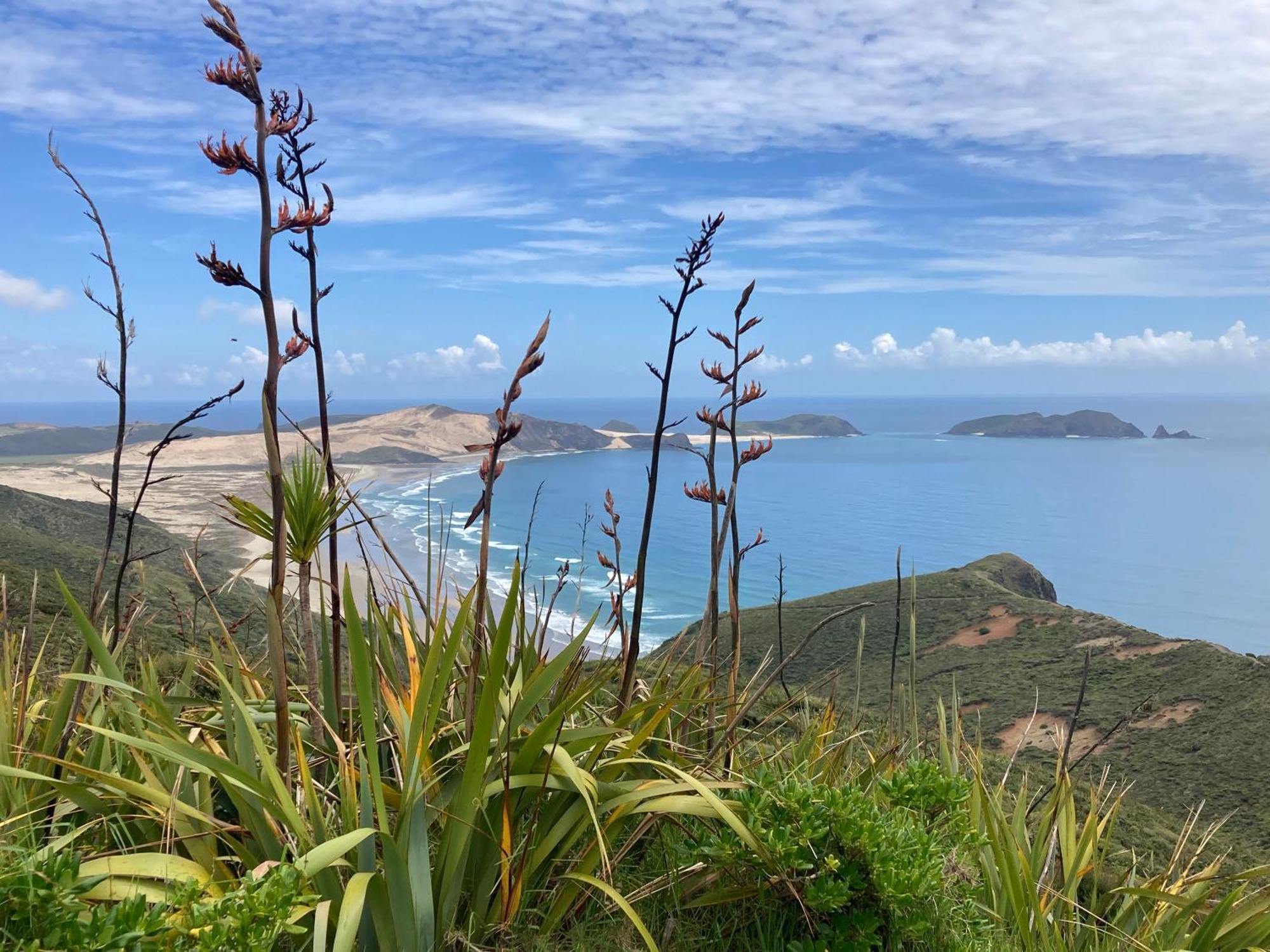 Villa Far North Panorama à Kaingaroa Extérieur photo